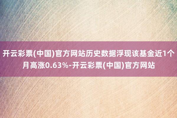 开云彩票(中国)官方网站历史数据浮现该基金近1个月高涨0.63%-开云彩票(中国)官方网站